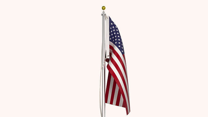 USA Flag Pole 3D model