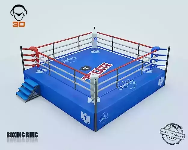 Boxing Box