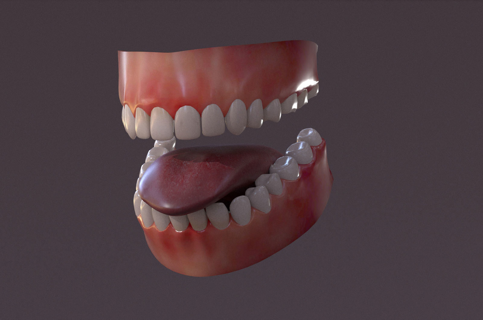 Female Full Body  Rig  Low-poly 3D model_9