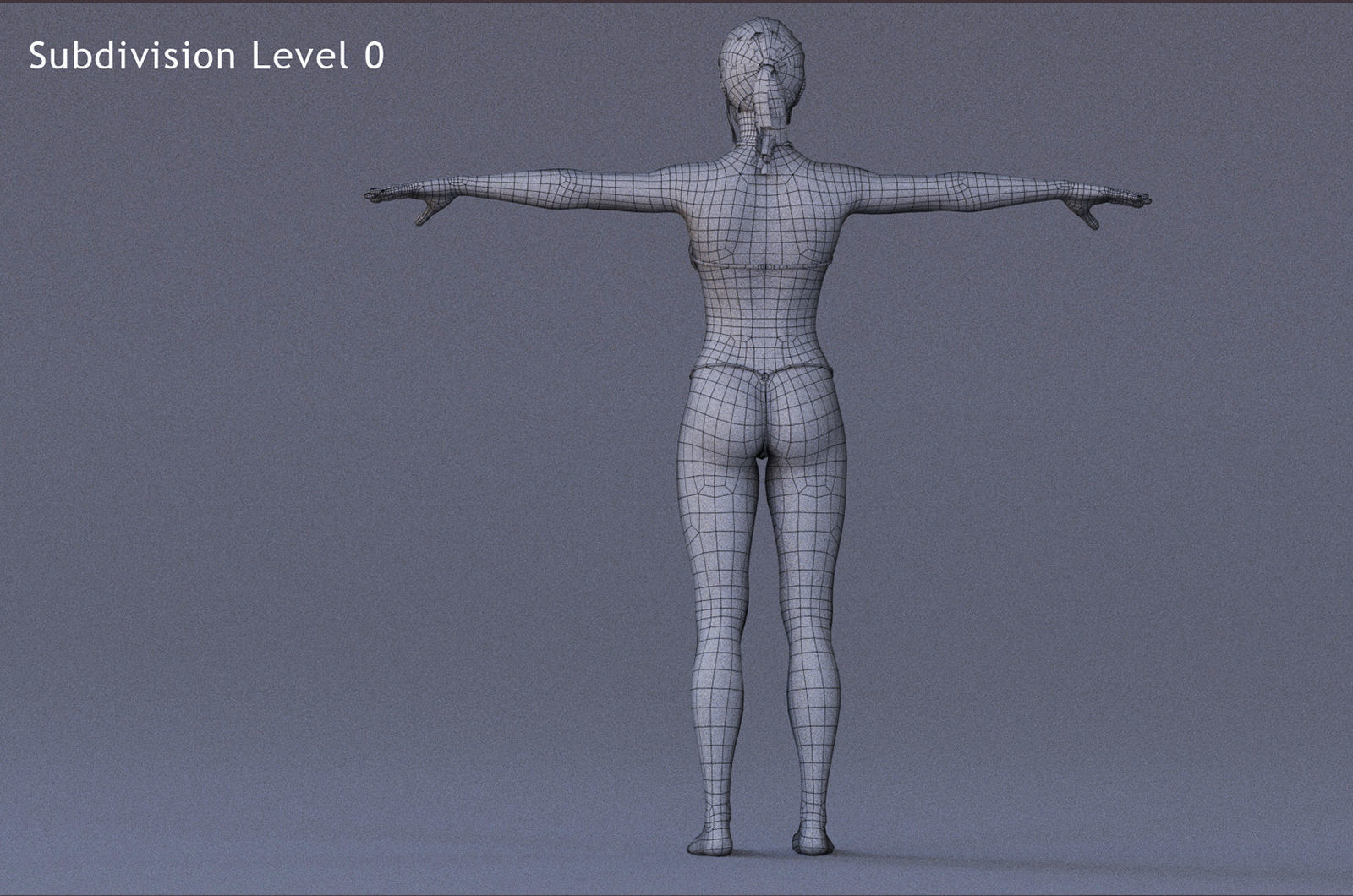 Female Full Body  Rig  Low-poly 3D model_22