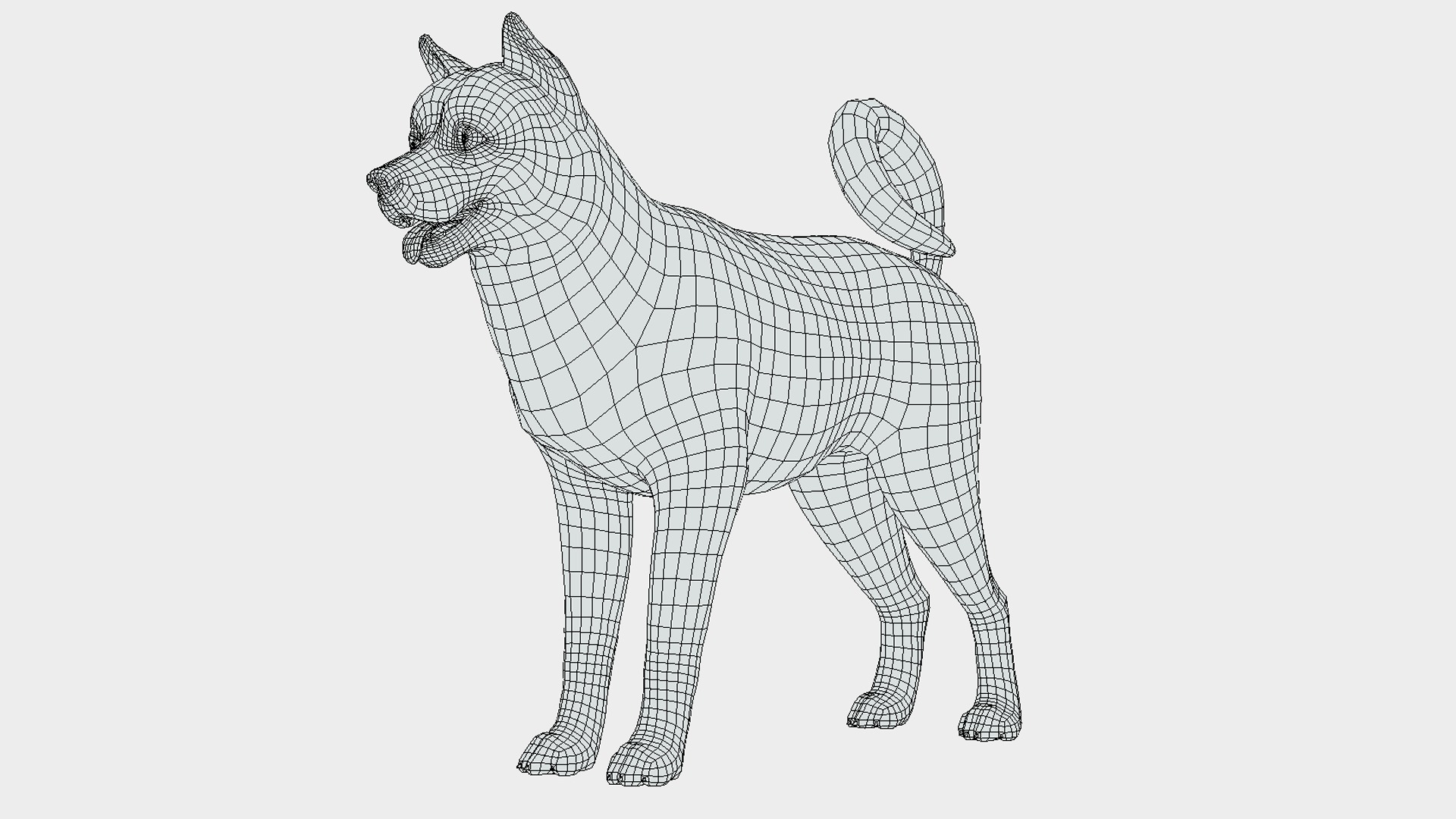 Cartoon Dog - Akita Inu Low-poly 3D model_14