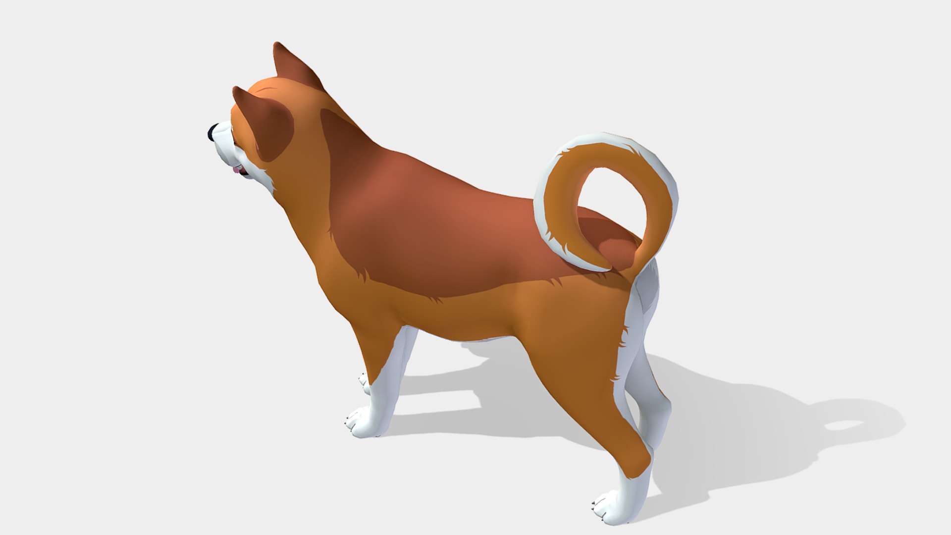 Cartoon Dog - Akita Inu Low-poly 3D model_5