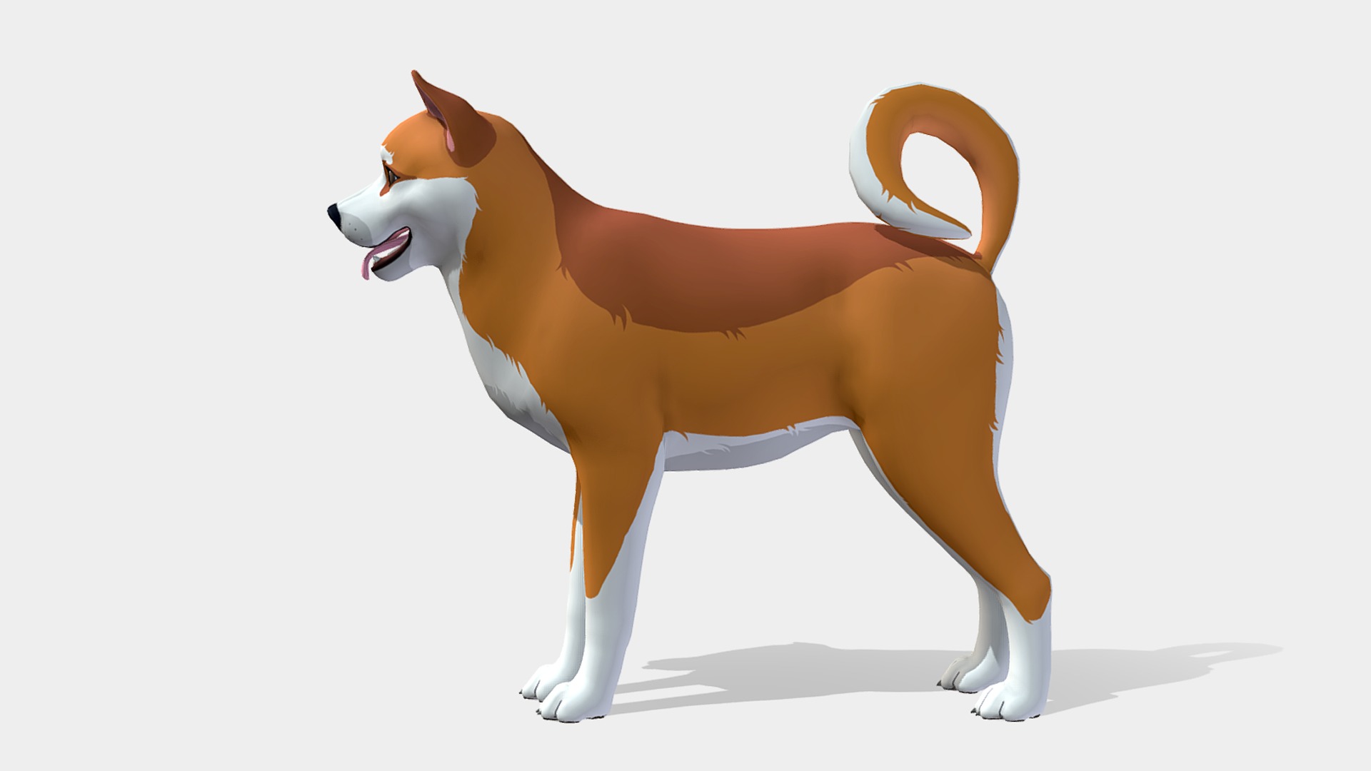 Cartoon Dog - Akita Inu Low-poly 3D model_4