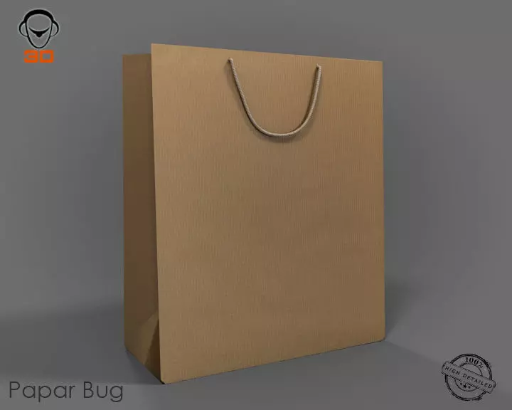 Paper Bag 3D model_0