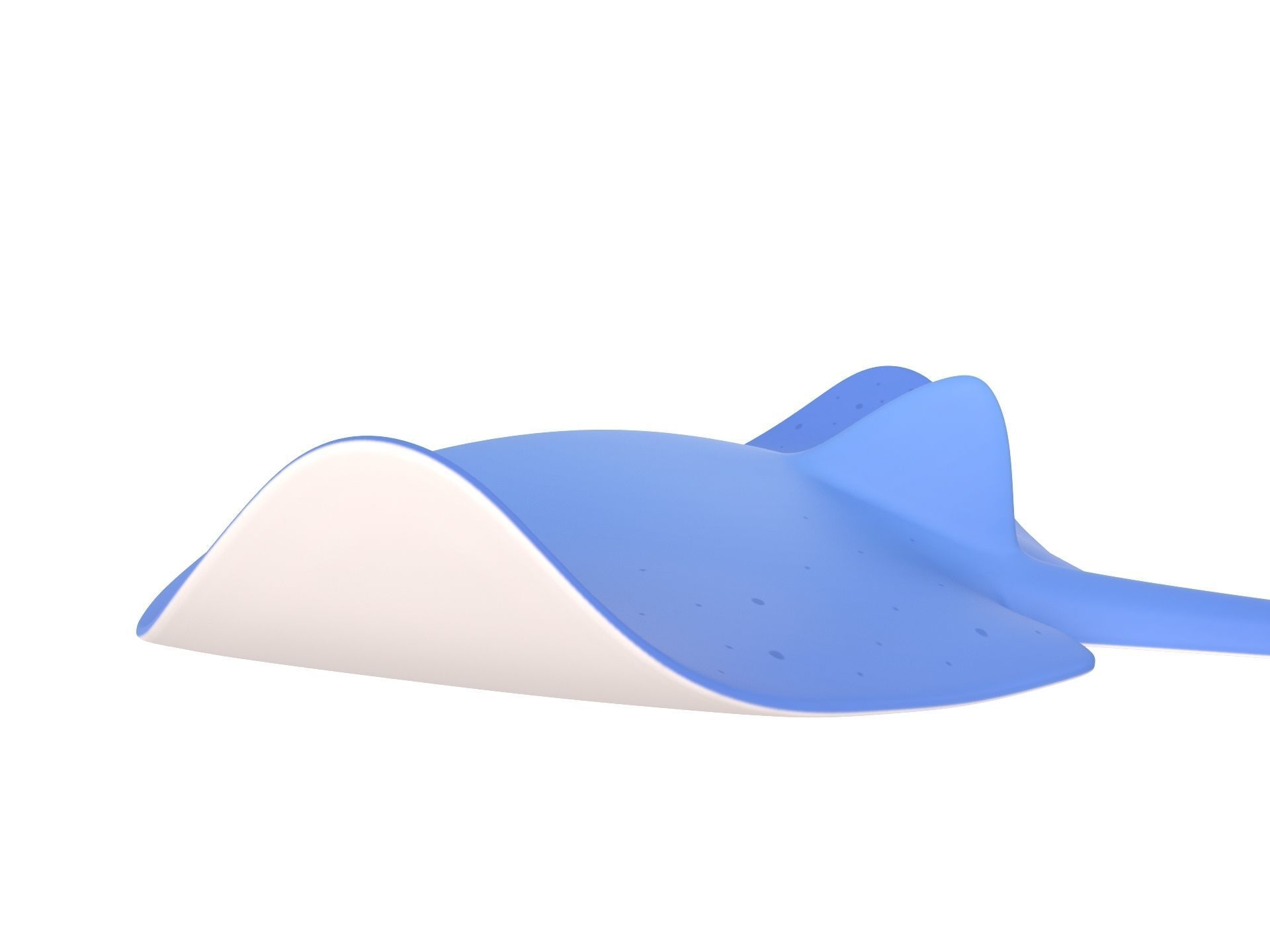 Manta Ray 3D model_4