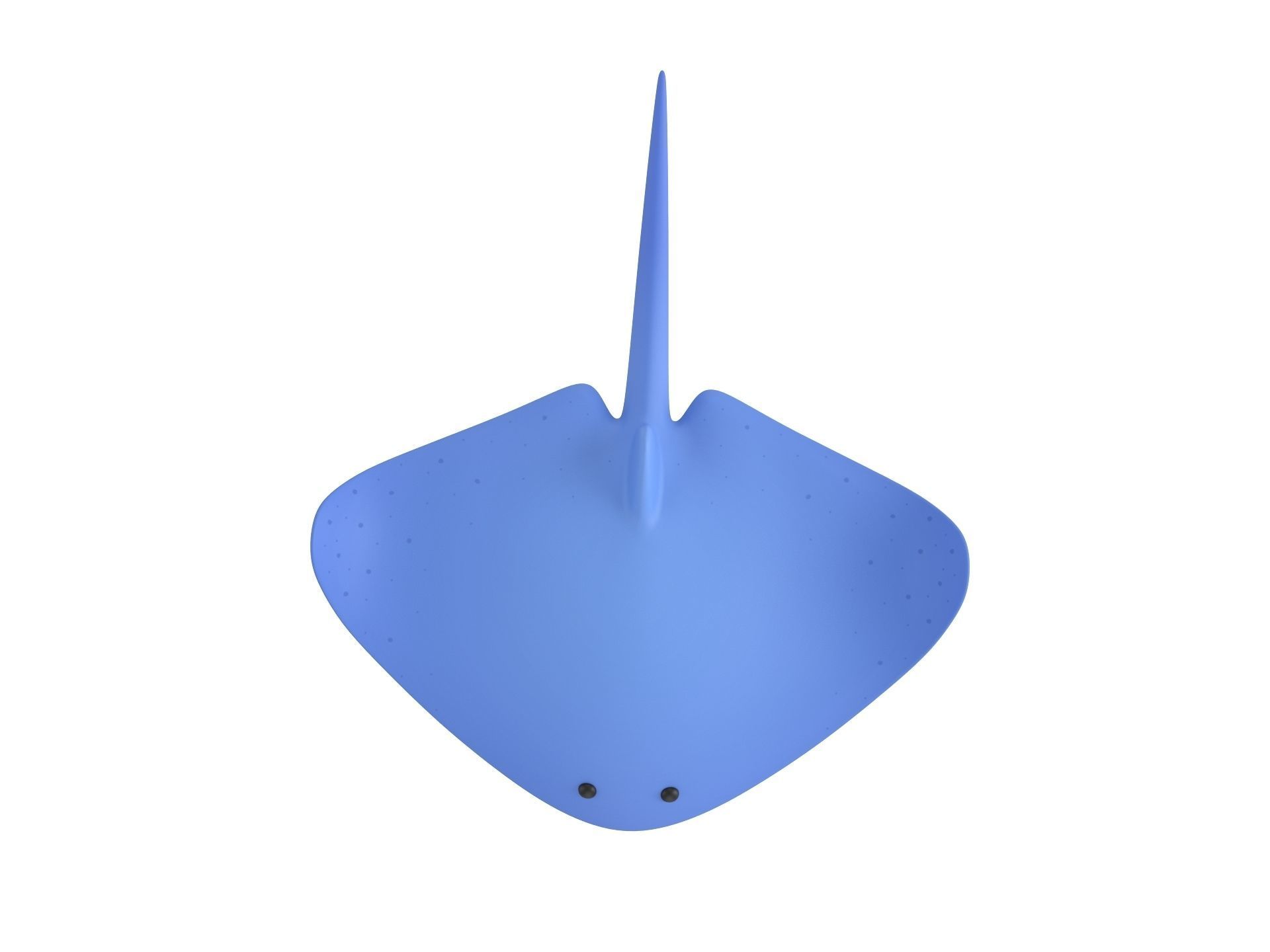 Manta Ray 3D model_2