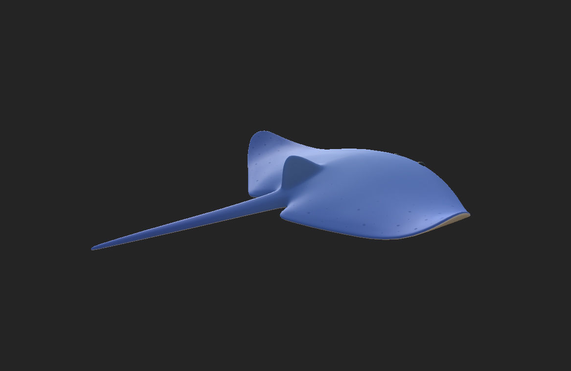 Manta Ray 3D model_8