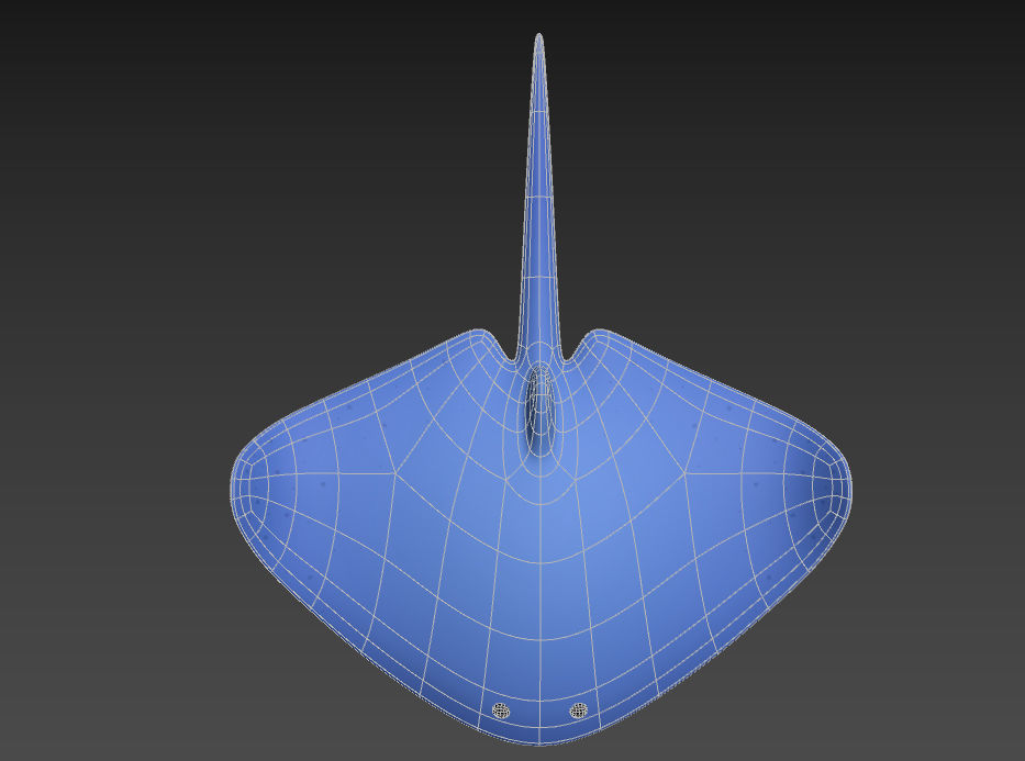 Manta Ray 3D model_16