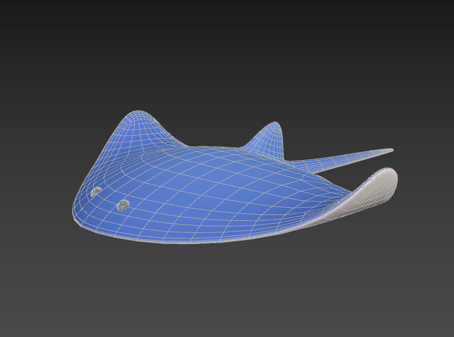 Manta Ray 3D model_12
