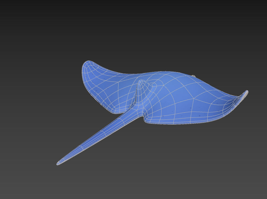 Manta Ray 3D model_14