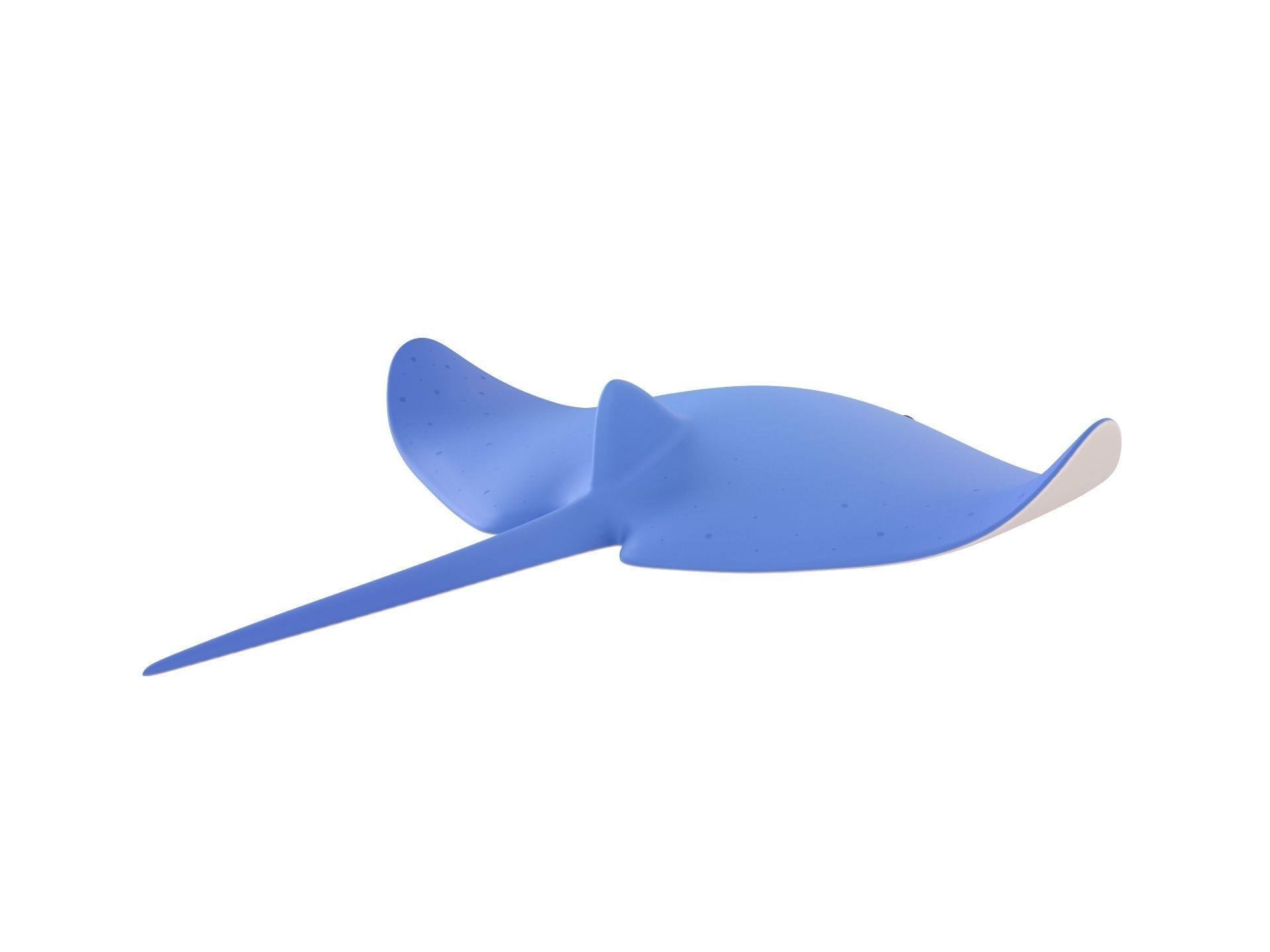Manta Ray 3D model_3