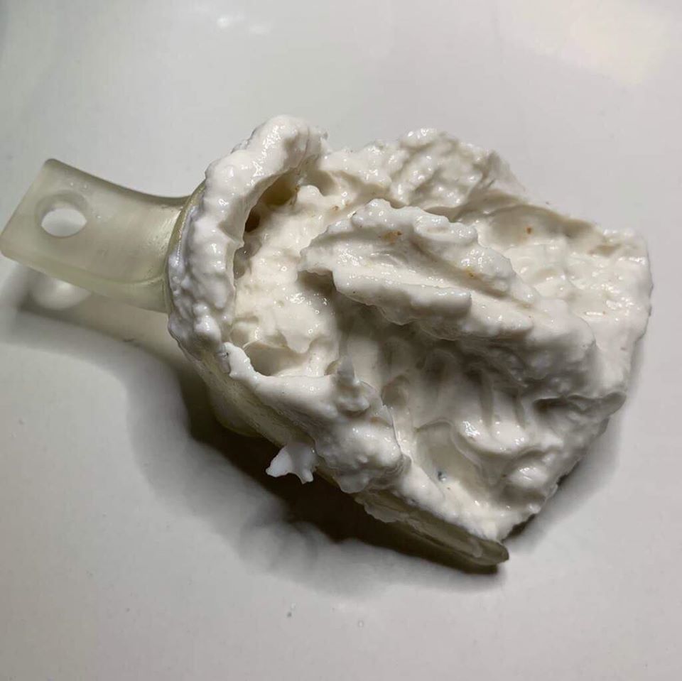 Dental Impression Tray For Dogs upper arch 3D print model_5