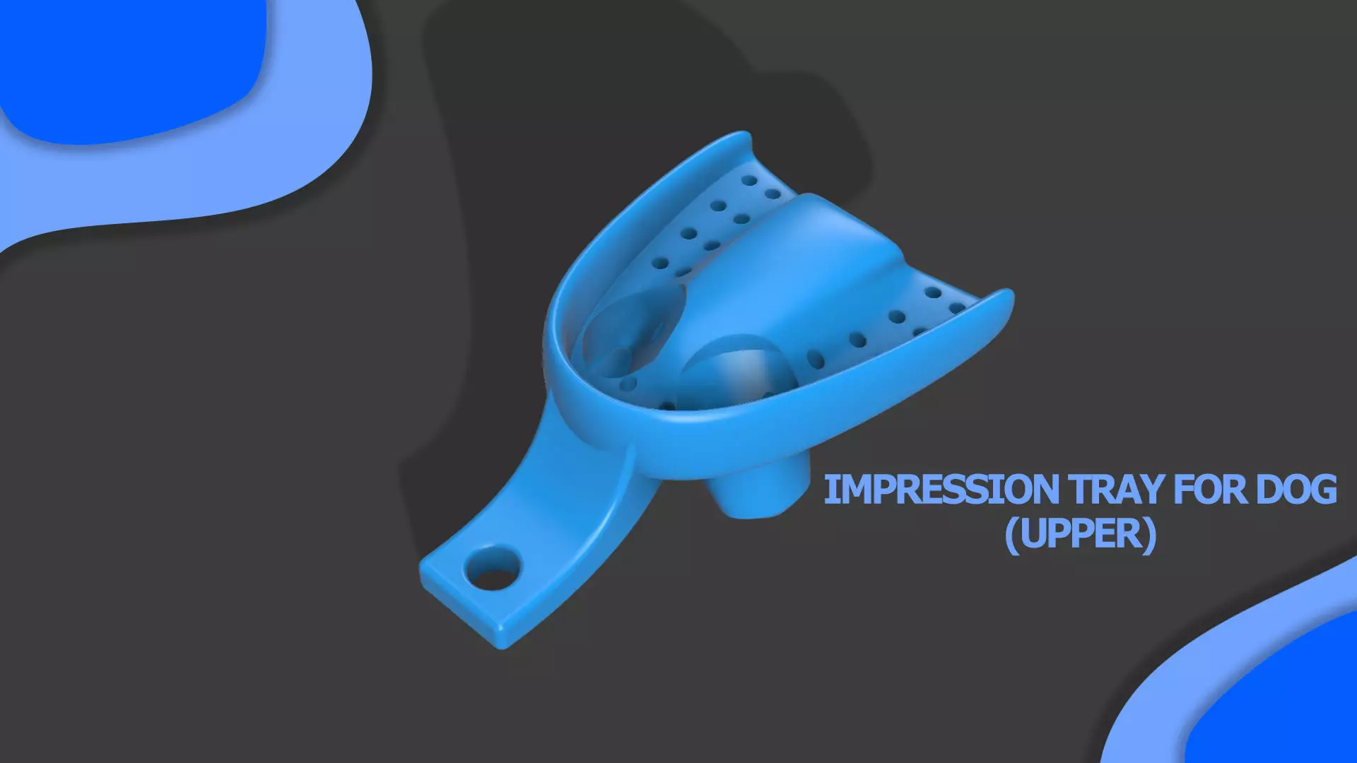 Dental Impression Tray For Dogs upper arch 3D print model_0