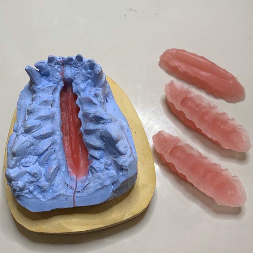 Dental Impression Tray For Dogs upper arch 3D print model_6