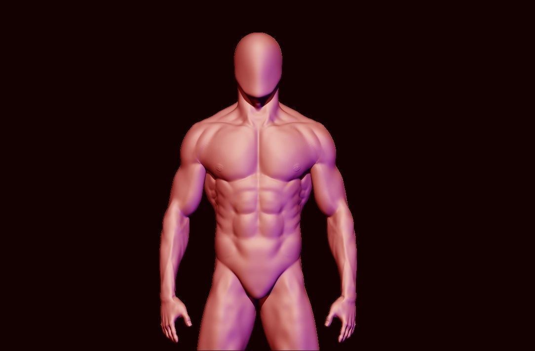 basemesh HIGH AND LOW POLY ANATOMY SCULPTING  3D model_13