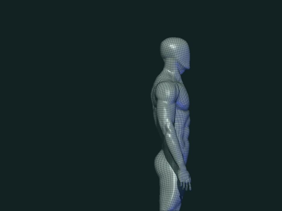 basemesh HIGH AND LOW POLY ANATOMY SCULPTING  3D model_20