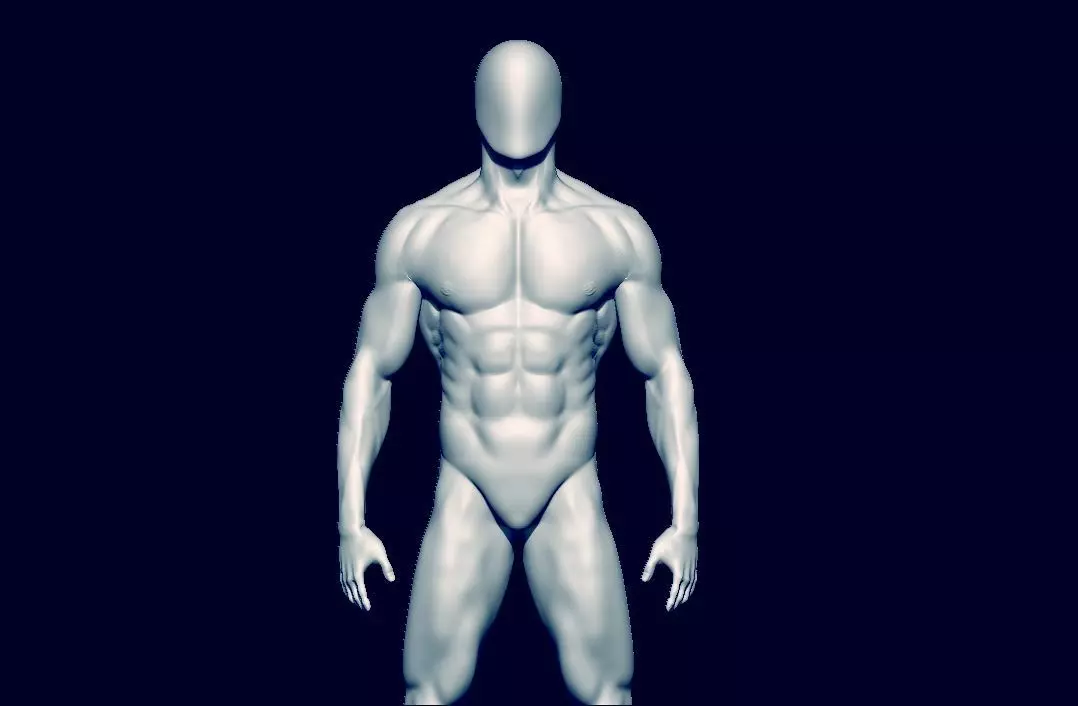 basemesh HIGH AND LOW POLY ANATOMY SCULPTING  3D model_0