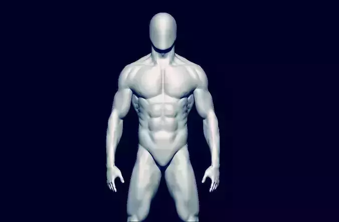 basemesh HIGH AND LOW POLY ANATOMY SCULPTING  3D model