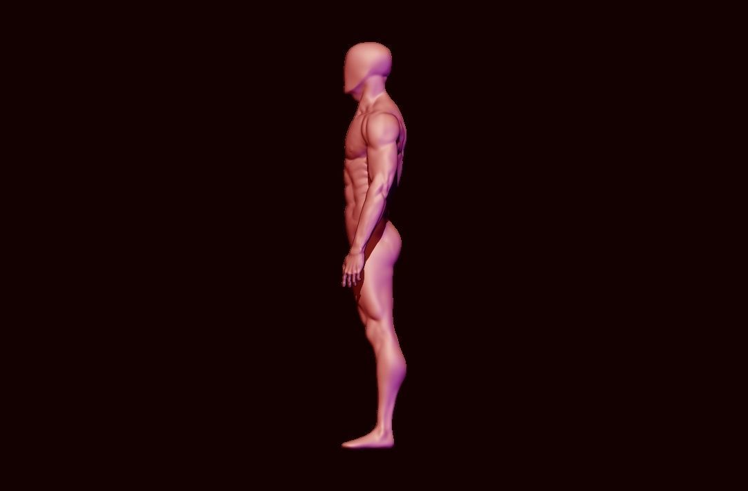 basemesh HIGH AND LOW POLY ANATOMY SCULPTING  3D model_11
