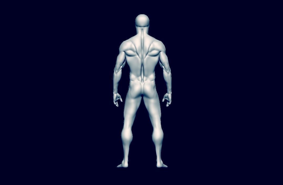 basemesh HIGH AND LOW POLY ANATOMY SCULPTING  3D model_6