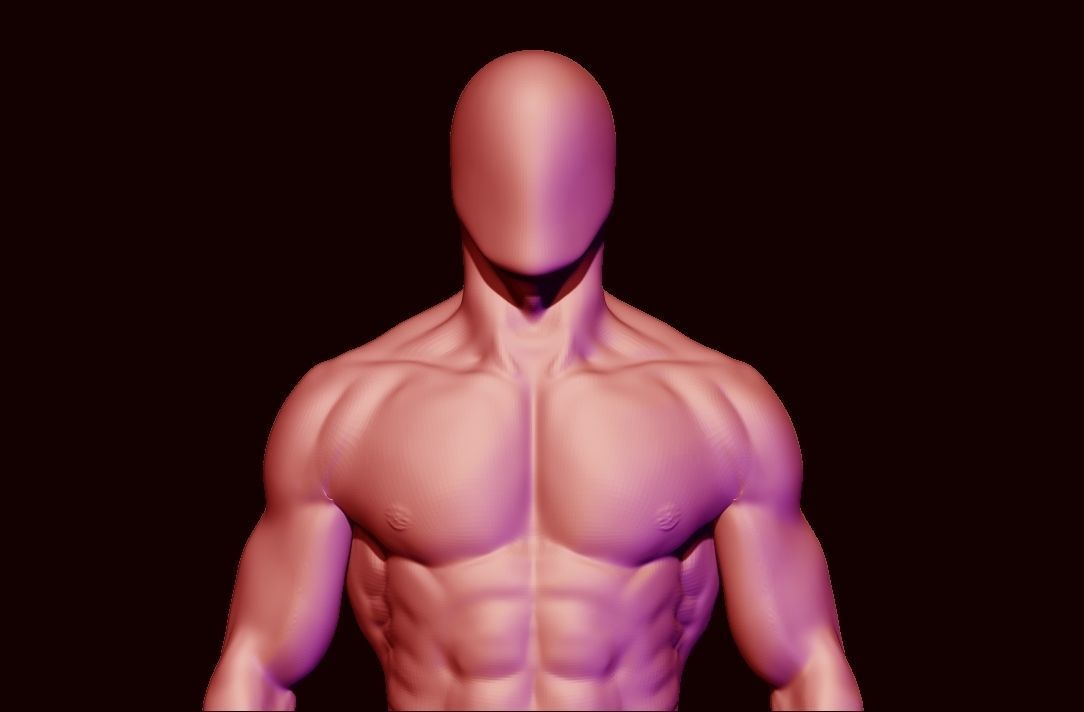 basemesh HIGH AND LOW POLY ANATOMY SCULPTING  3D model_16