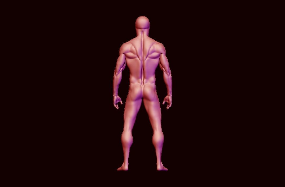 basemesh HIGH AND LOW POLY ANATOMY SCULPTING  3D model_10