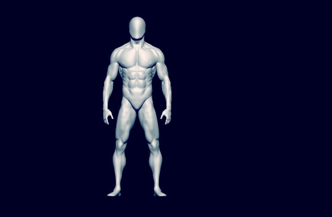 basemesh HIGH AND LOW POLY ANATOMY SCULPTING  3D model_4