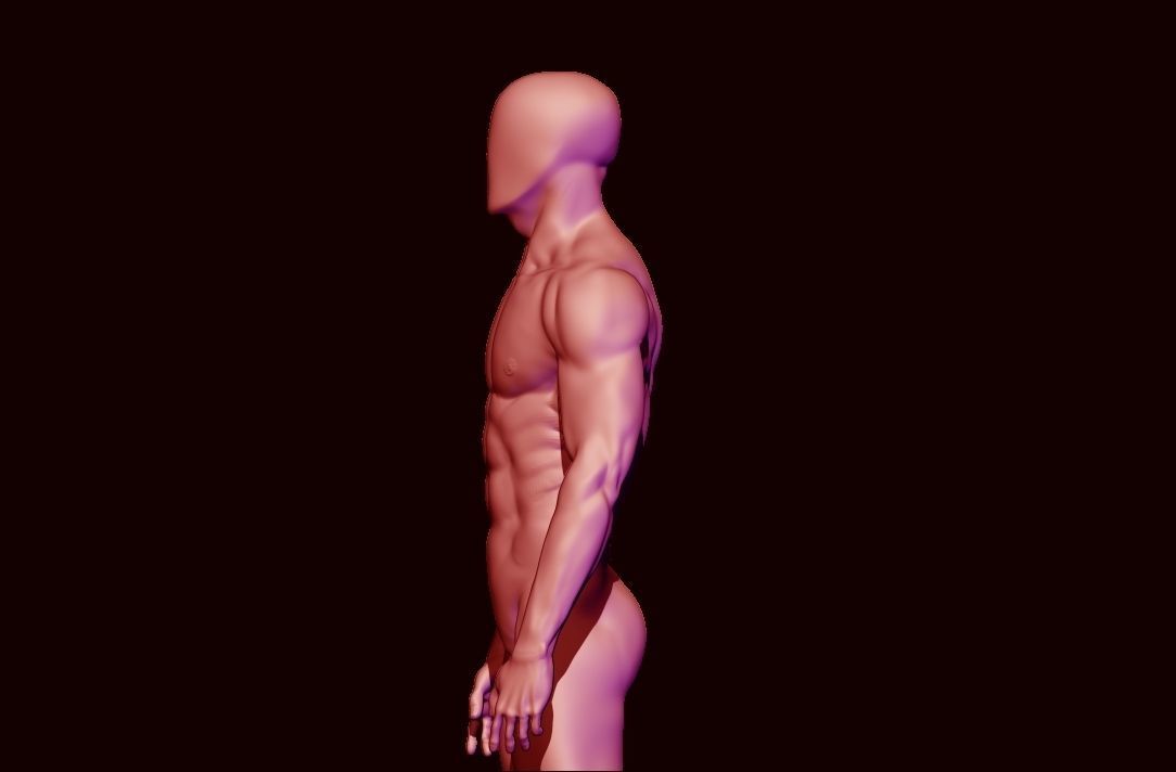 basemesh HIGH AND LOW POLY ANATOMY SCULPTING  3D model_12