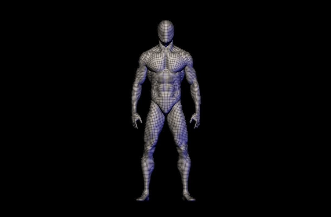 basemesh HIGH AND LOW POLY ANATOMY SCULPTING  3D model_18