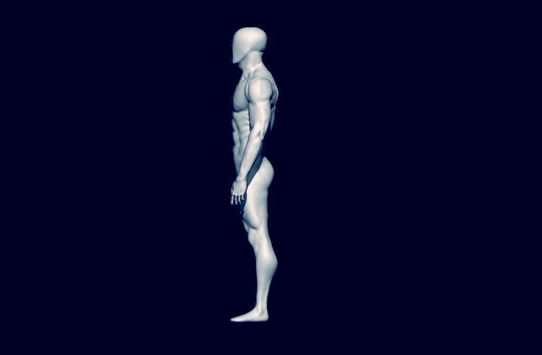 basemesh HIGH AND LOW POLY ANATOMY SCULPTING  3D model_5