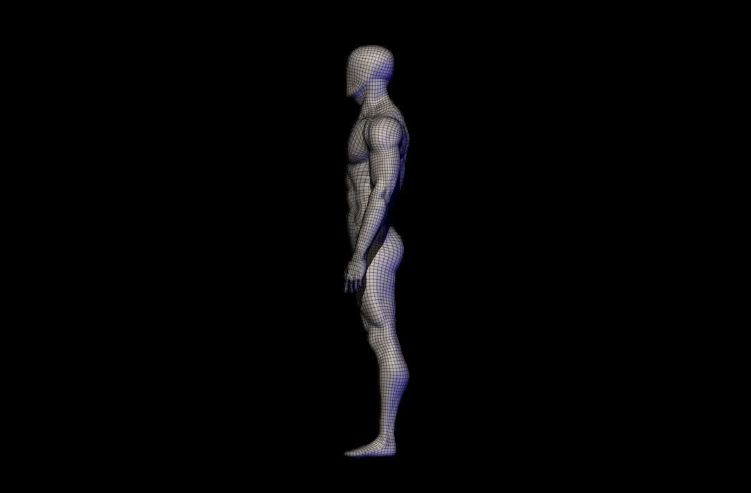 basemesh HIGH AND LOW POLY ANATOMY SCULPTING  3D model_19