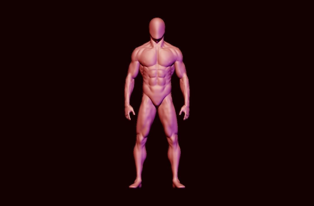 basemesh HIGH AND LOW POLY ANATOMY SCULPTING  3D model_9