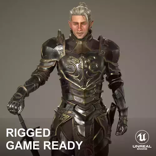 Elf Knight Character Low-poly 3D model