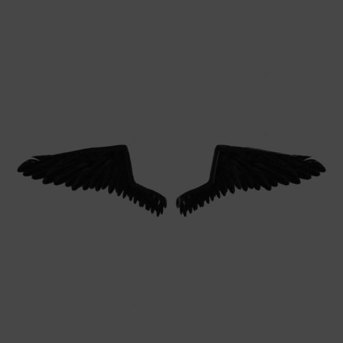black wings 3D model
