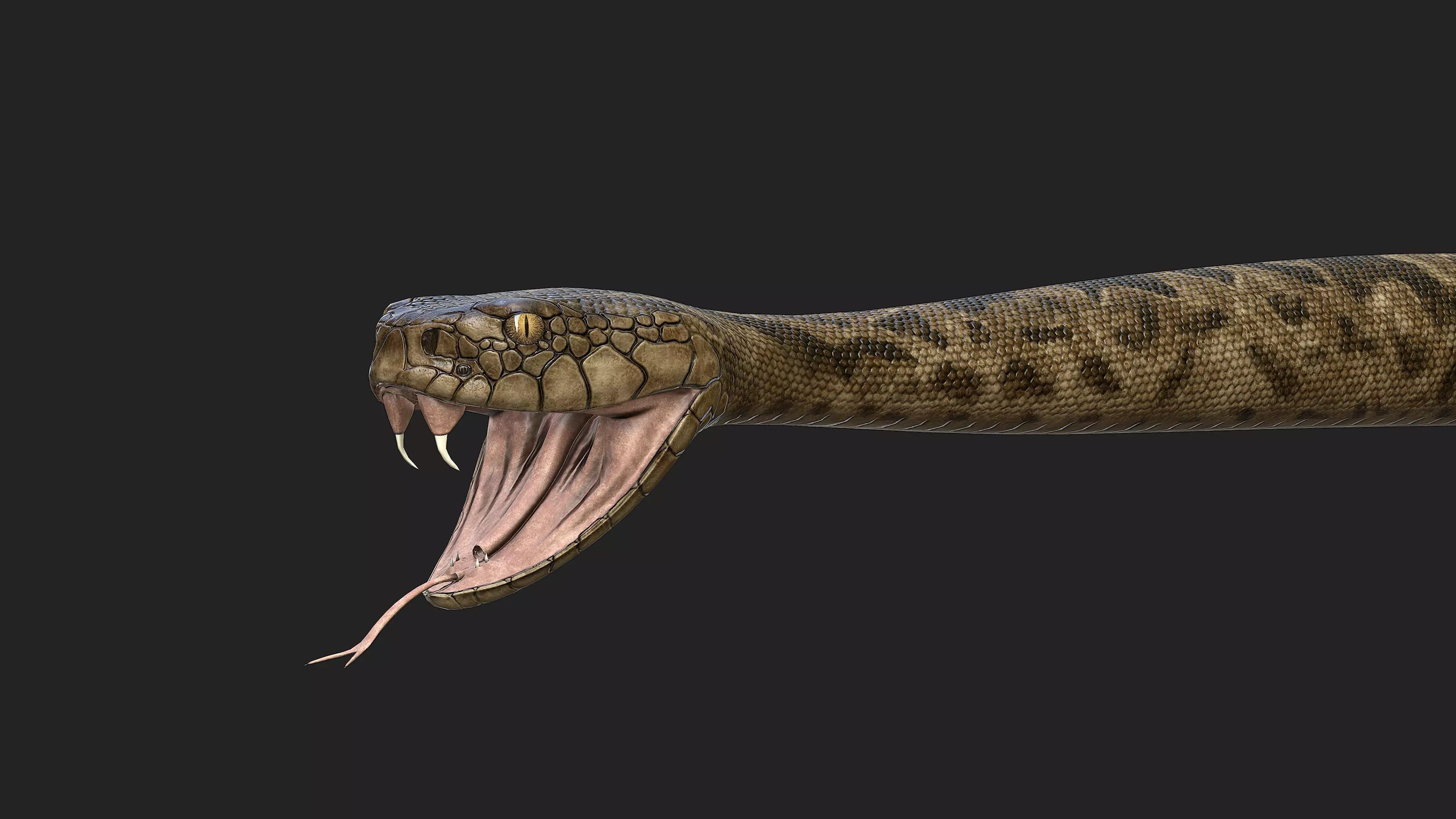 Rattlesnake snake Low-poly 3D model_0