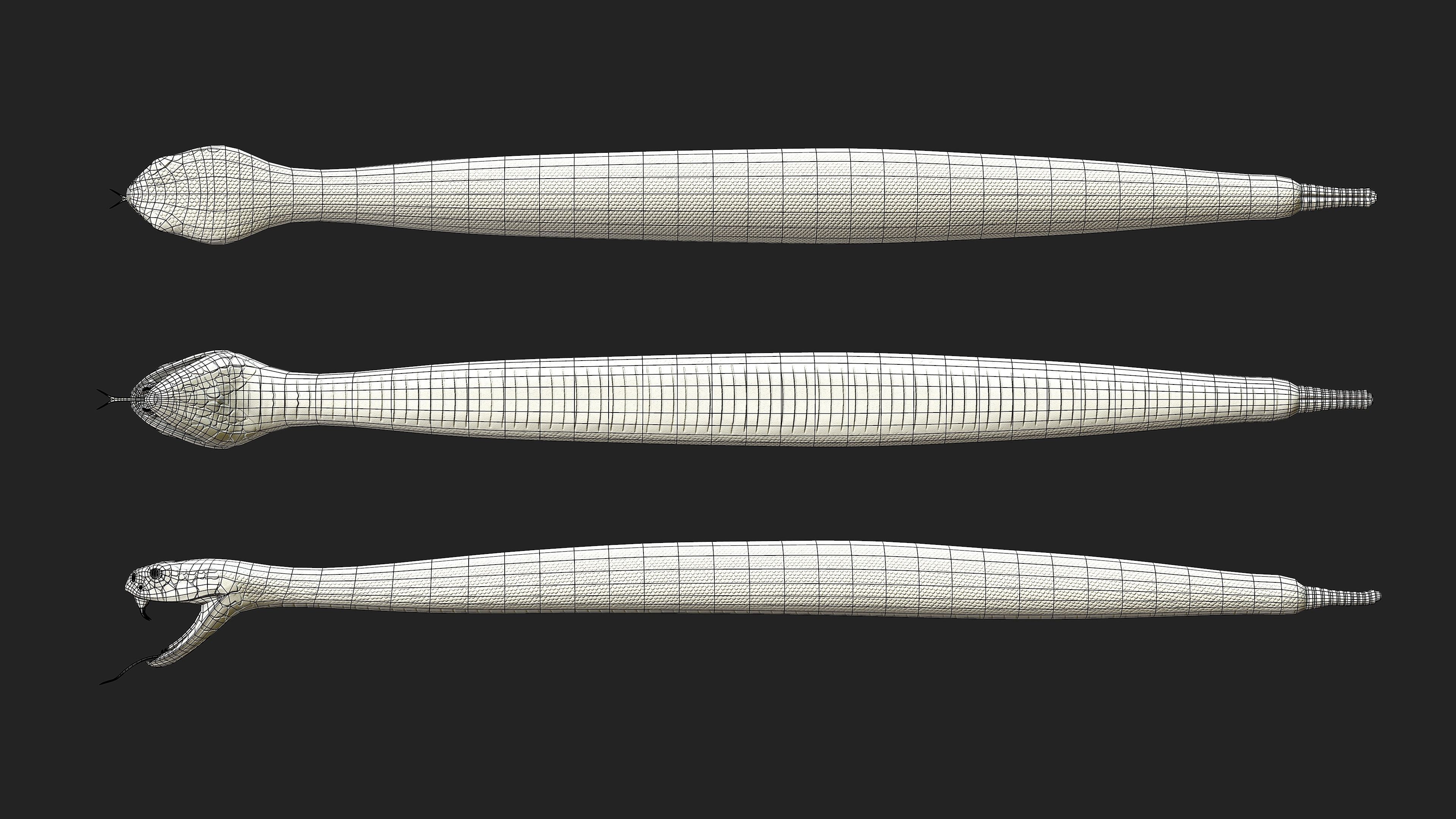 Rattlesnake snake Low-poly 3D model_3