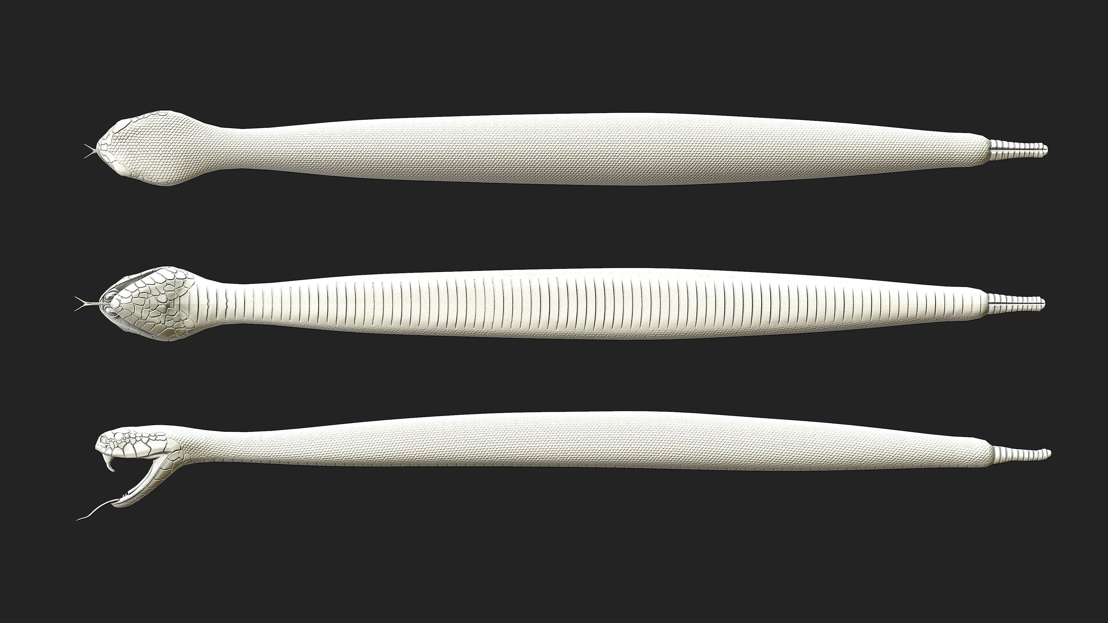 Rattlesnake snake Low-poly 3D model_6