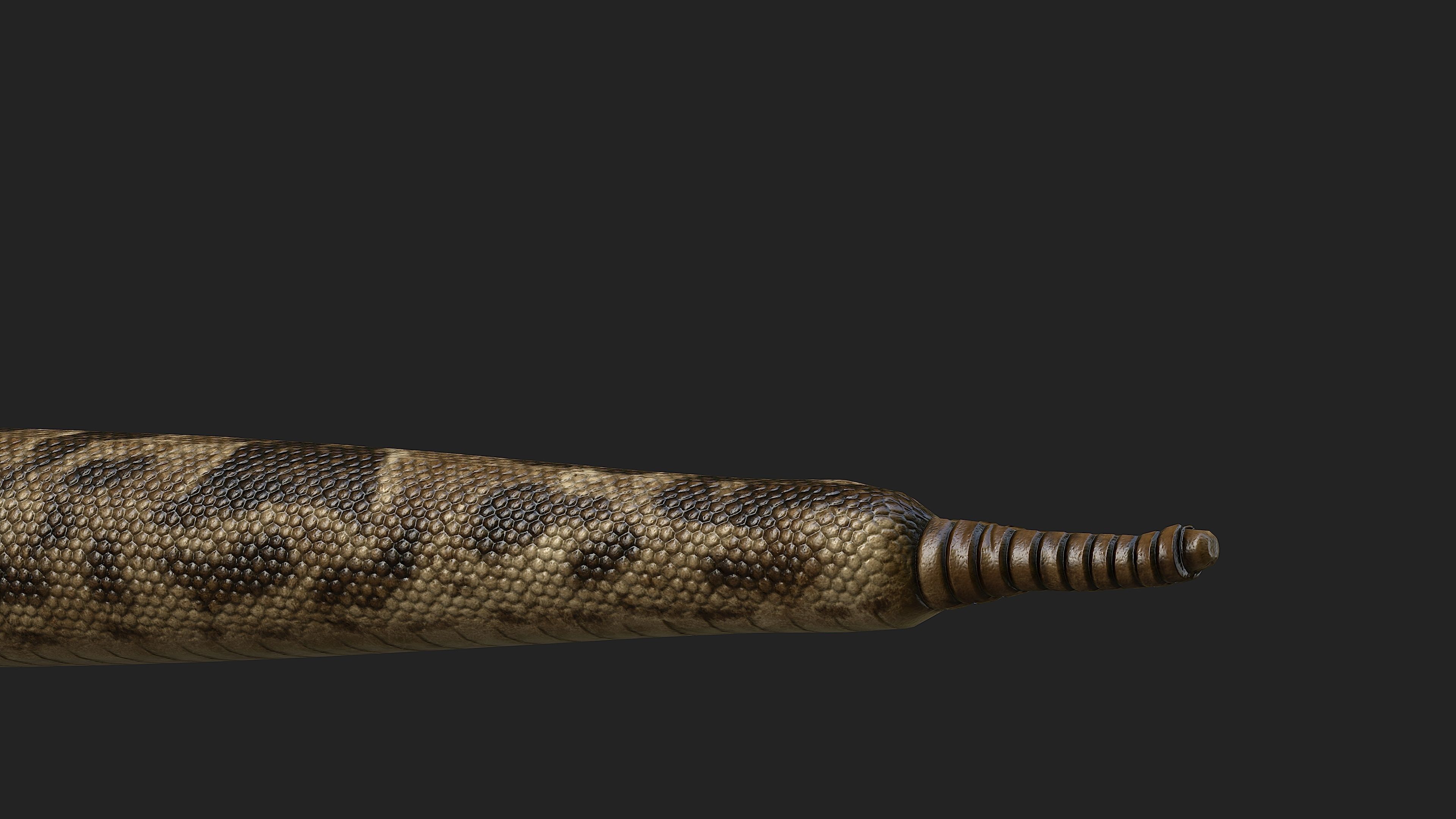 Rattlesnake snake Low-poly 3D model_8