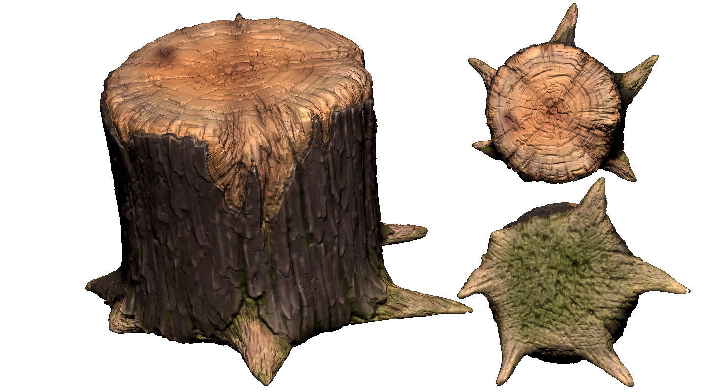 Stump tree 3D model_14
