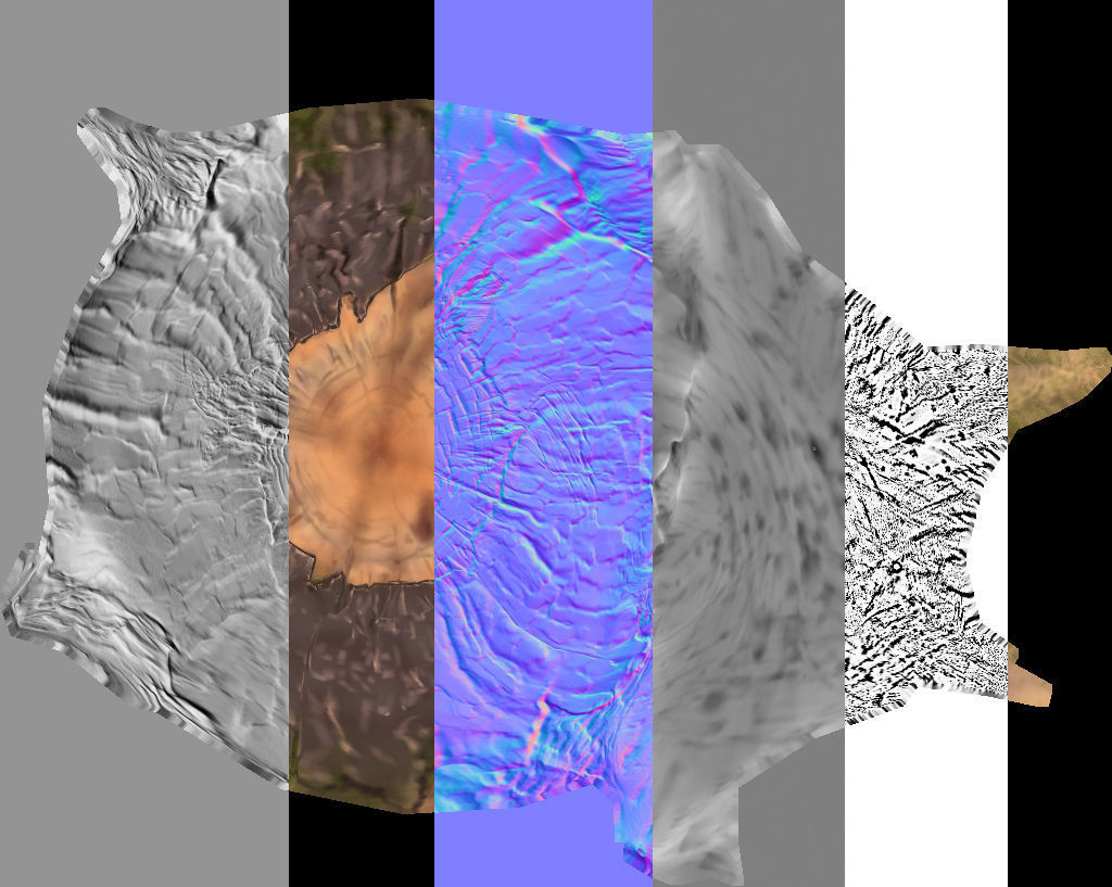 Stump tree 3D model_13
