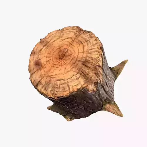 Stump tree
