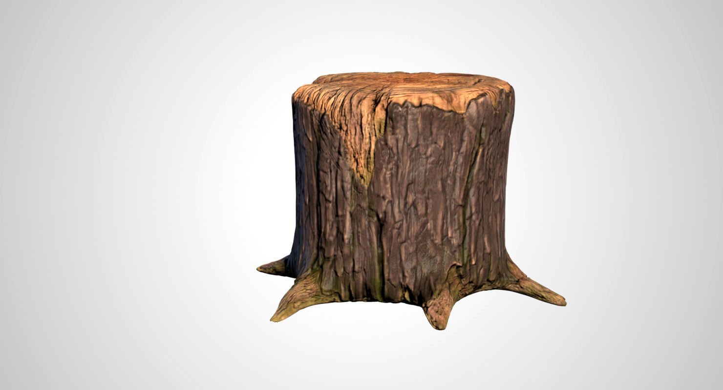 Stump tree 3D model_5