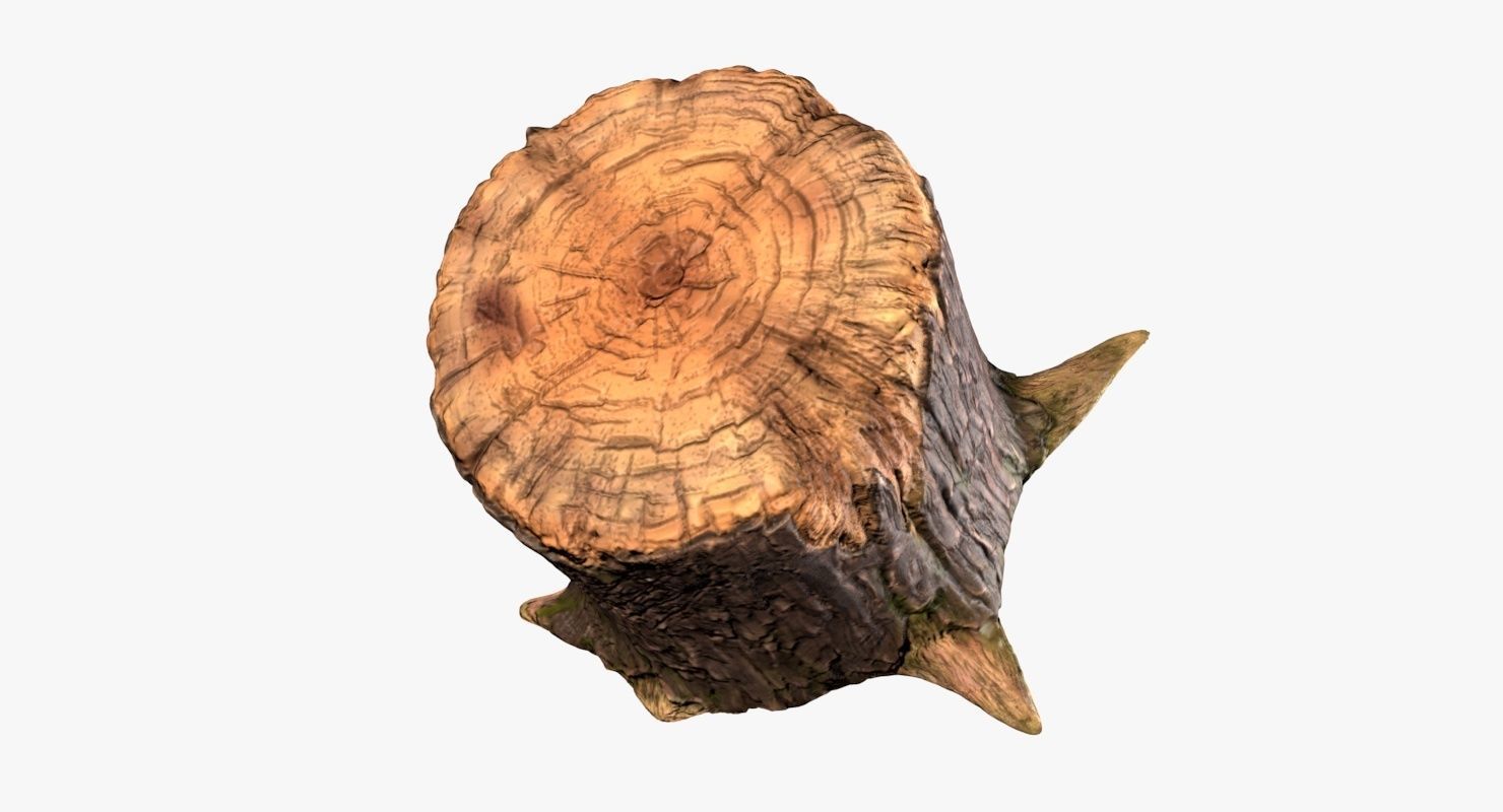 Stump tree 3D model_9