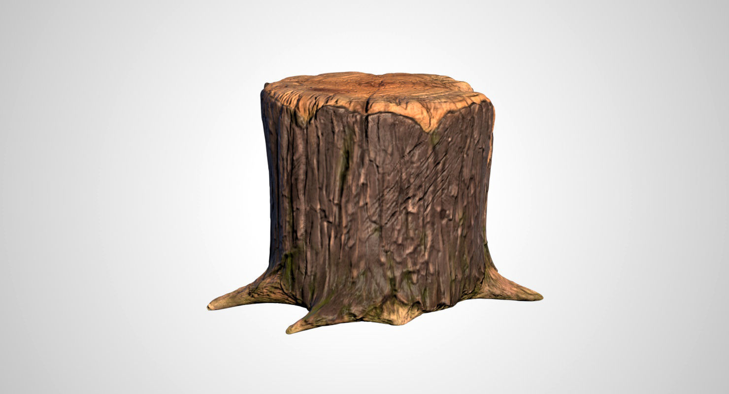 Stump tree 3D model_8