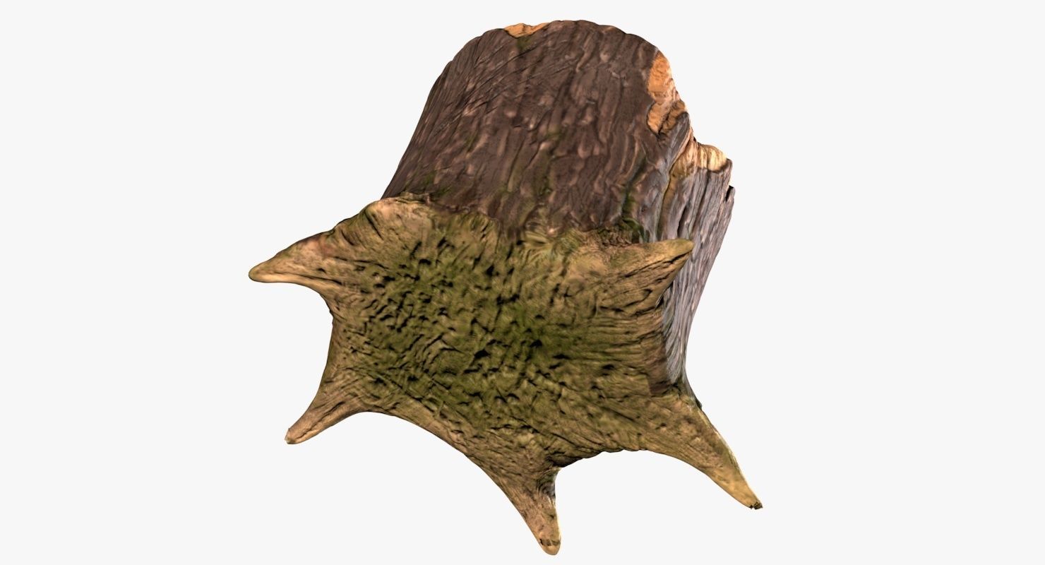 Stump tree 3D model_10