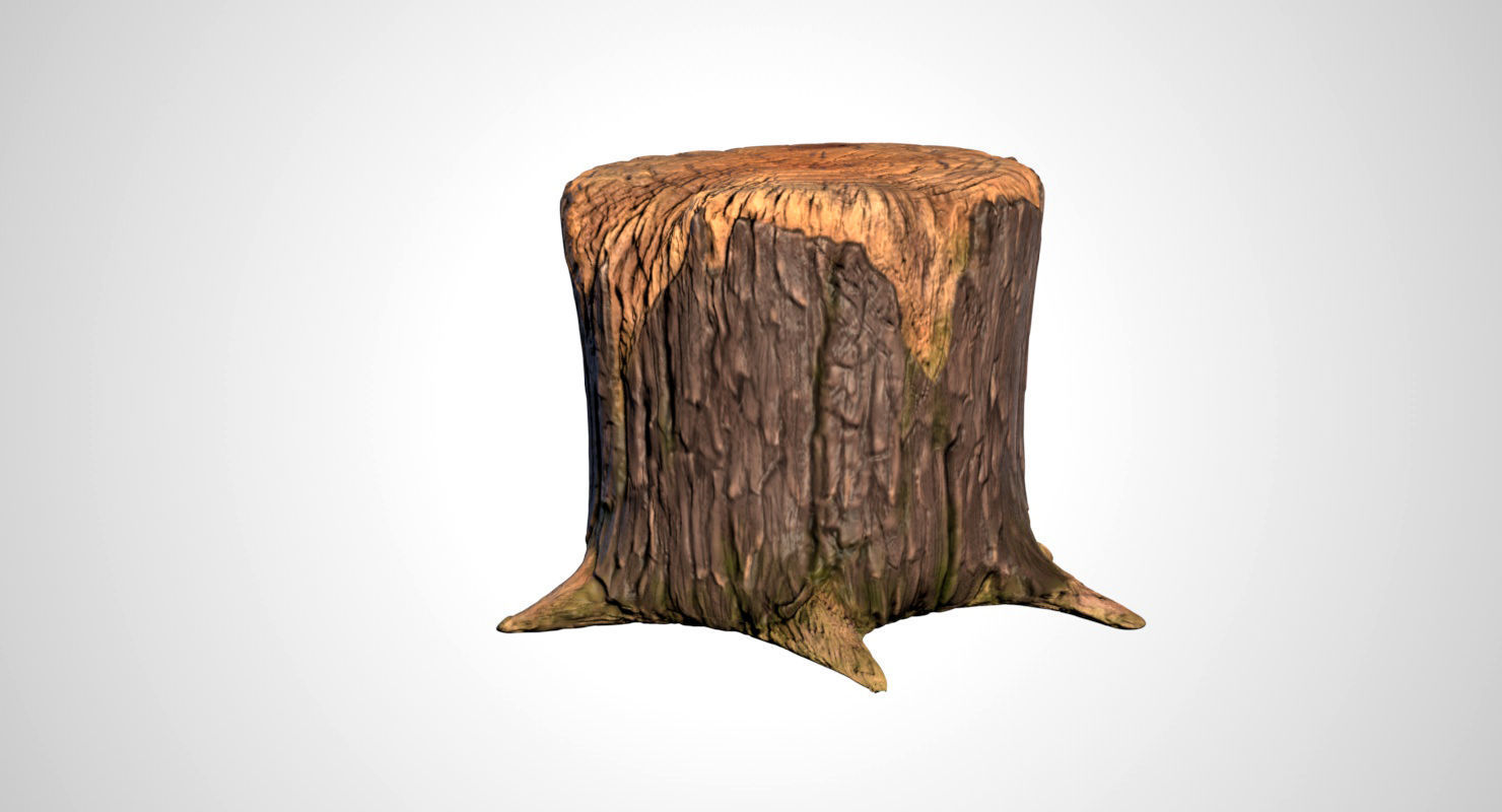 Stump tree 3D model_4