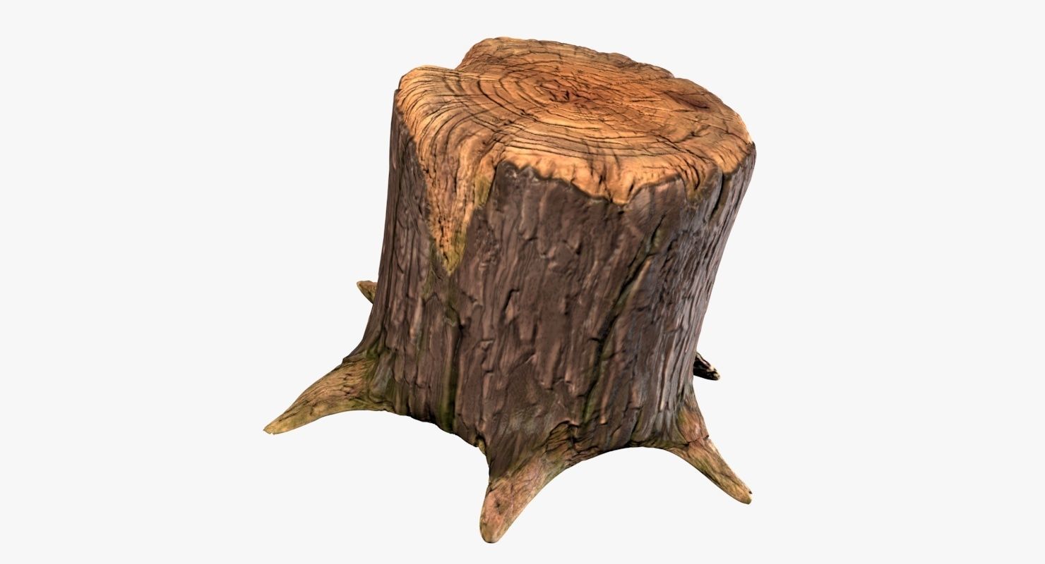 Stump tree 3D model_12