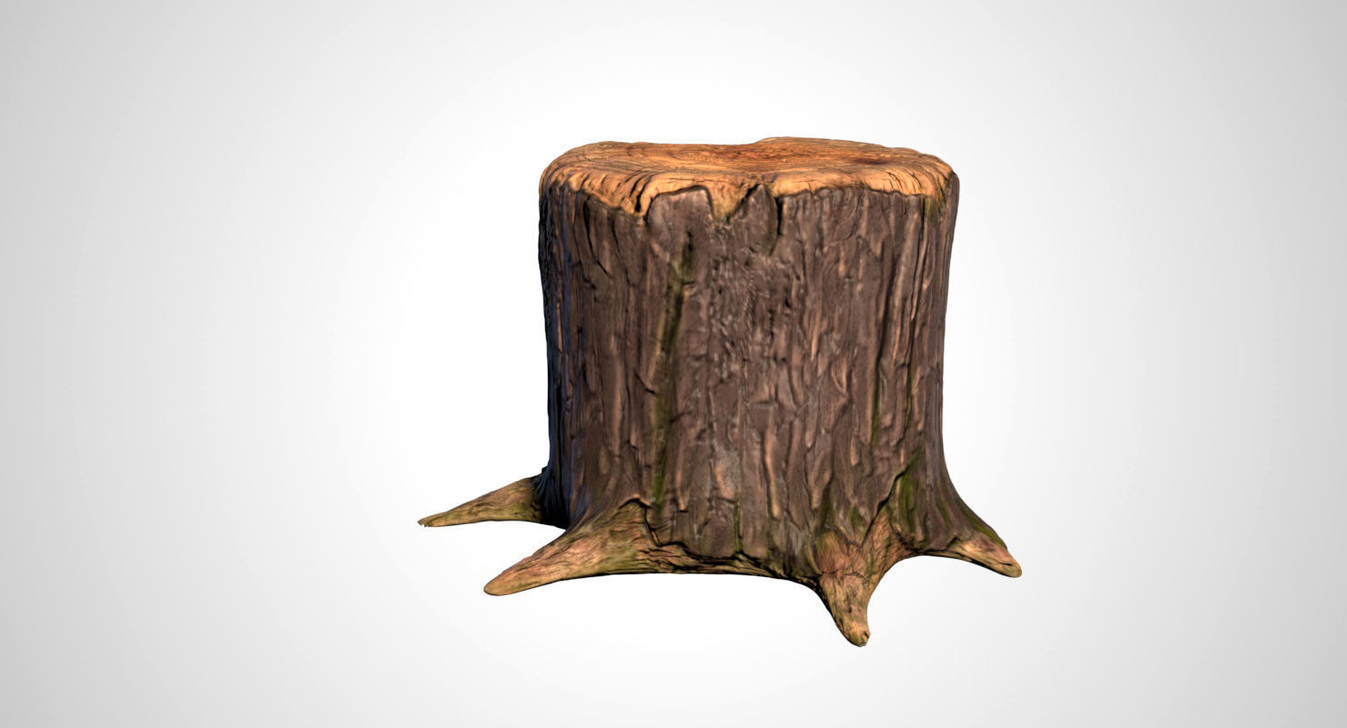 Stump tree 3D model_6