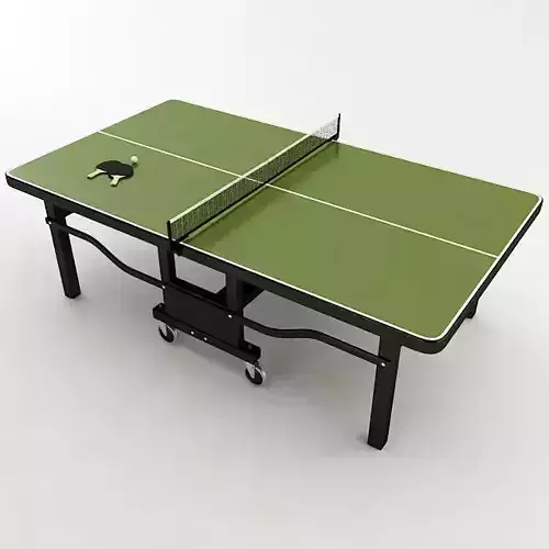 Ping Pong Table