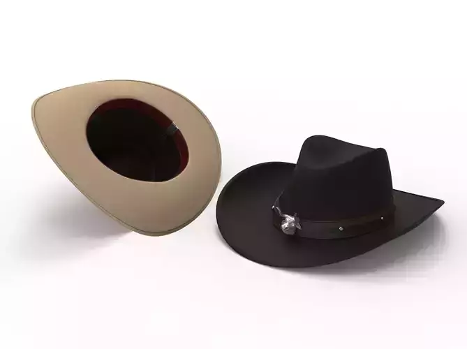 Cowboy Hat with the bull head 3D model
